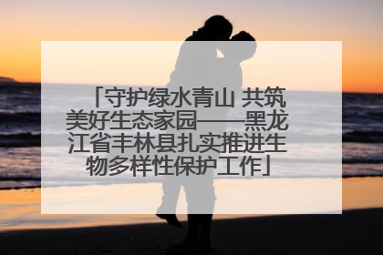守护绿水青山 共筑美好生态家园——黑龙江省丰林县扎实推进生物多样性保护工作