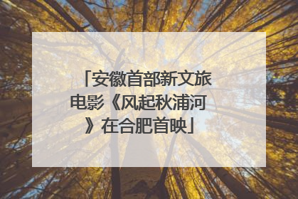 安徽首部新文旅电影《风起秋浦河》在合肥首映