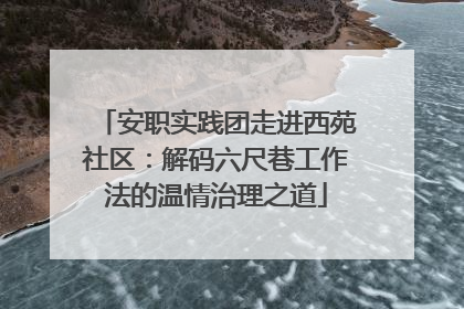 安职实践团走进西苑社区：解码六尺巷工作法的温情治理之道