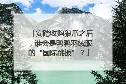 安踏收购狼爪之后，谁会是鸭鸭羽绒服的“国际跳板”？