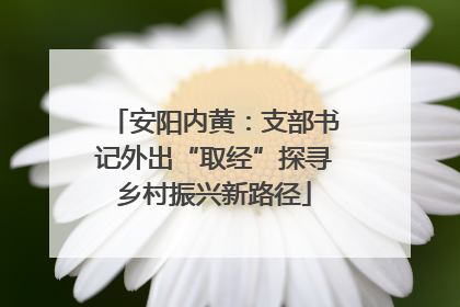 安阳内黄：支部书记外出“取经”探寻乡村振兴新路径