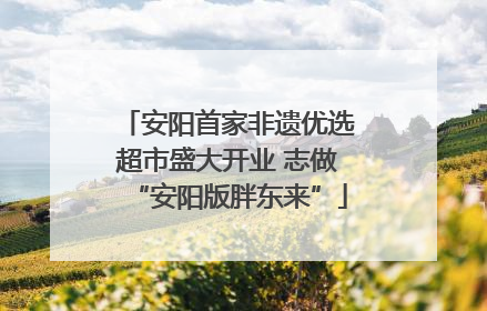 安阳首家非遗优选超市盛大开业 志做“安阳版胖东来”