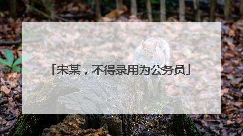 宋某，不得录用为公务员
