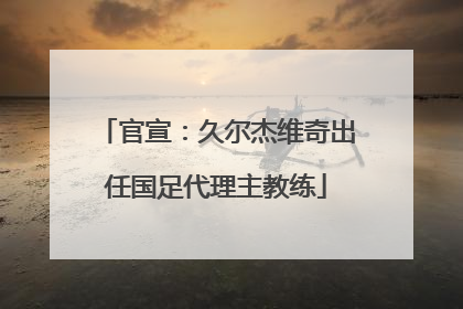 官宣：久尔杰维奇出任国足代理主教练