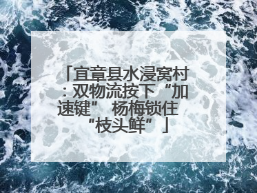 宜章县水浸窝村：双物流按下“加速键” 杨梅锁住“枝头鲜”