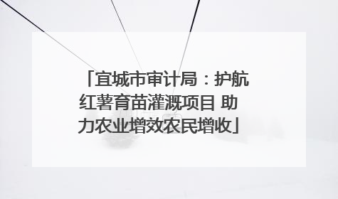 宜城市审计局：护航红薯育苗灌溉项目 助力农业增效农民增收