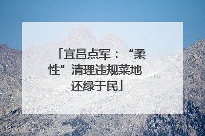 宜昌点军：“柔性”清理违规菜地 还绿于民