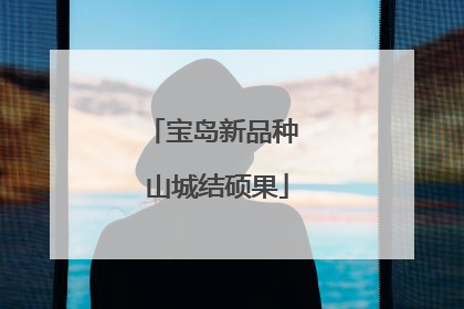 宝岛新品种 山城结硕果