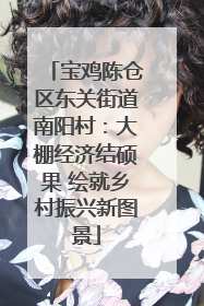 宝鸡陈仓区东关街道南阳村：大棚经济结硕果 绘就乡村振兴新图景