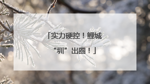 实力硬控！鲤城“圳”出圈！