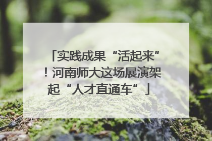 实践成果“活起来”！河南师大这场展演架起“人才直通车”