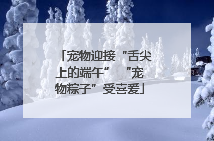 宠物迎接“舌尖上的端午” “宠物粽子”受喜爱
