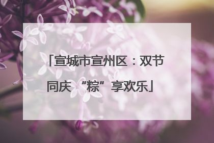 宣城市宣州区：双节同庆 “粽”享欢乐