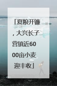 夏粮开镰，大兴长子营镇近6000亩小麦迎丰收