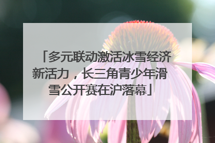 多元联动激活冰雪经济新活力，长三角青少年滑雪公开赛在沪落幕