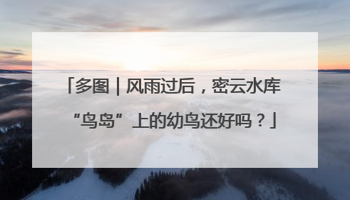 多图｜风雨过后，密云水库“鸟岛”上的幼鸟还好吗？
