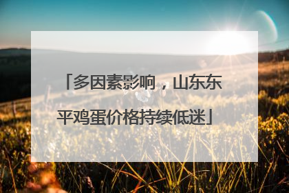 多因素影响，山东东平鸡蛋价格持续低迷