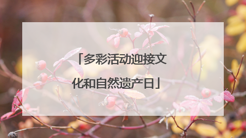多彩活动迎接文化和自然遗产日