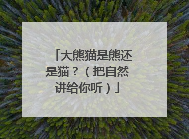 大熊猫是熊还是猫？（把自然讲给你听）