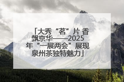 大秀“茗”片 香飘京华——2025年“一展两会”展现泉州茶独特魅力