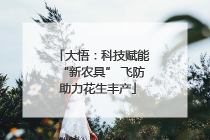 大悟：科技赋能“新农具” 飞防助力花生丰产