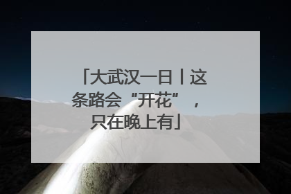 大武汉一日丨这条路会“开花”，只在晚上有