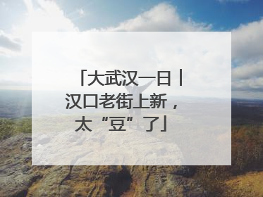 大武汉一日︱汉口老街上新，太“豆”了