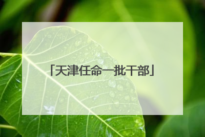 天津任命一批干部