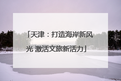 天津：打造海岸新风光 激活文旅新活力
