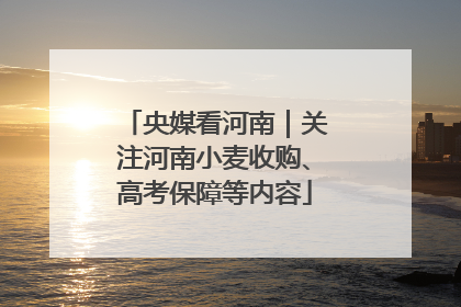 央媒看河南｜关注河南小麦收购、高考保障等内容