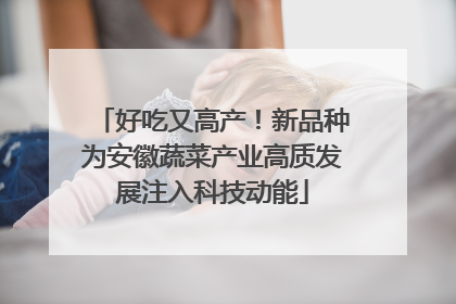 好吃又高产！新品种为安徽蔬菜产业高质发展注入科技动能