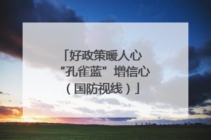 好政策暖人心 “孔雀蓝”增信心（国防视线）