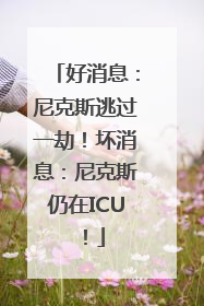 好消息：尼克斯逃过一劫！坏消息：尼克斯仍在ICU！