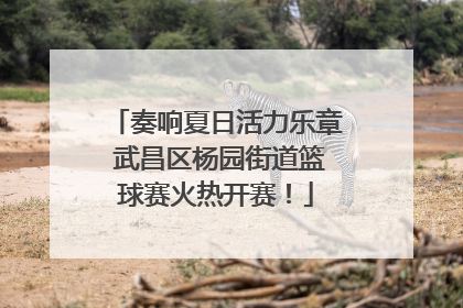 奏响夏日活力乐章 武昌区杨园街道篮球赛火热开赛！
