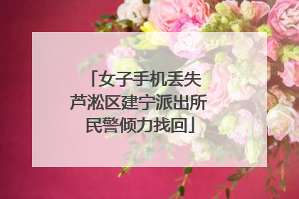女子手机丢失 芦淞区建宁派出所民警倾力找回