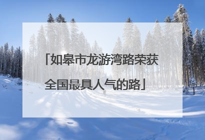 如皋市龙游湾路荣获全国最具人气的路