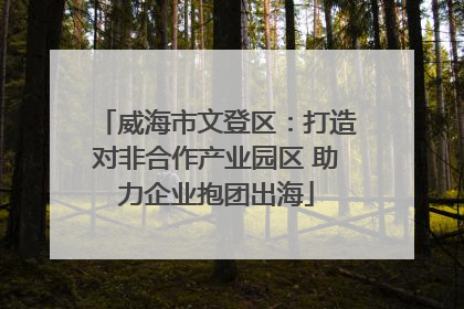 威海市文登区：打造对非合作产业园区 助力企业抱团出海