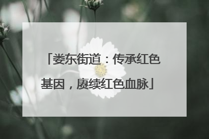 娄东街道：传承红色基因，赓续红色血脉