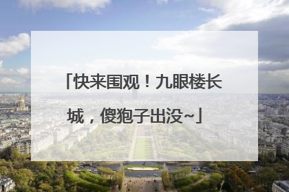 快来围观！九眼楼长城，傻狍子出没~