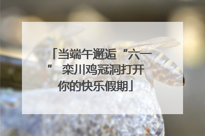 当端午邂逅“六一” 栾川鸡冠洞打开你的快乐假期