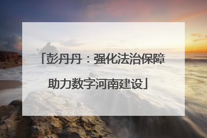 彭丹丹：强化法治保障 助力数字河南建设