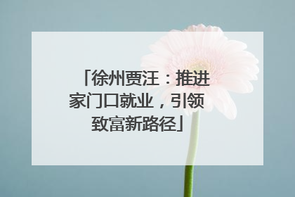 徐州贾汪：推进家门口就业，引领致富新路径