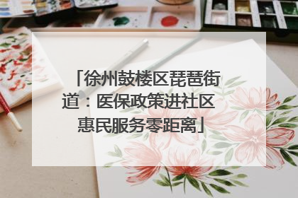 徐州鼓楼区琵琶街道：医保政策进社区 惠民服务零距离