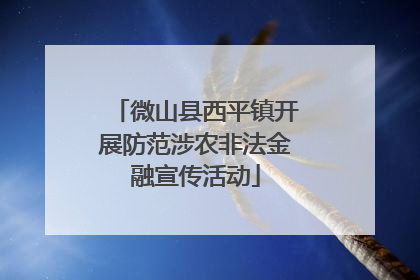 微山县西平镇开展防范涉农非法金融宣传活动
