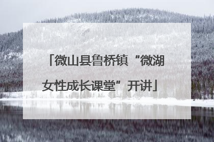 微山县鲁桥镇“微湖女性成长课堂”开讲