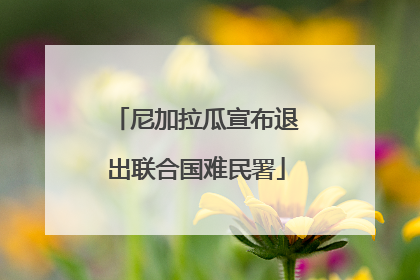 尼加拉瓜宣布退出联合国难民署