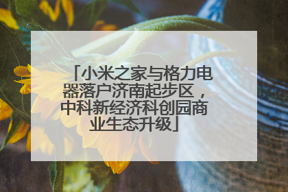 小米之家与格力电器落户济南起步区，中科新经济科创园商业生态升级