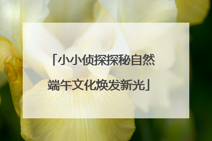 小小侦探探秘自然 端午文化焕发新光
