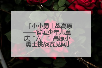 小小勇士战高原——省垣少年儿童庆“六一”高原小勇士挑战赛见闻