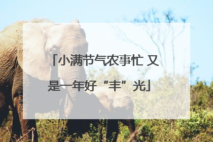 小满节气农事忙 又是一年好“丰”光